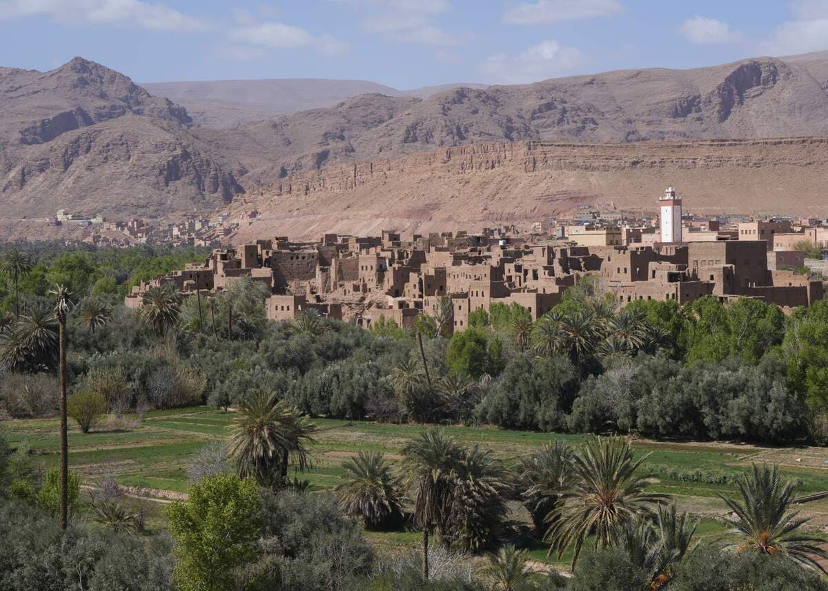 A green desert oasis of palms among arid terrain