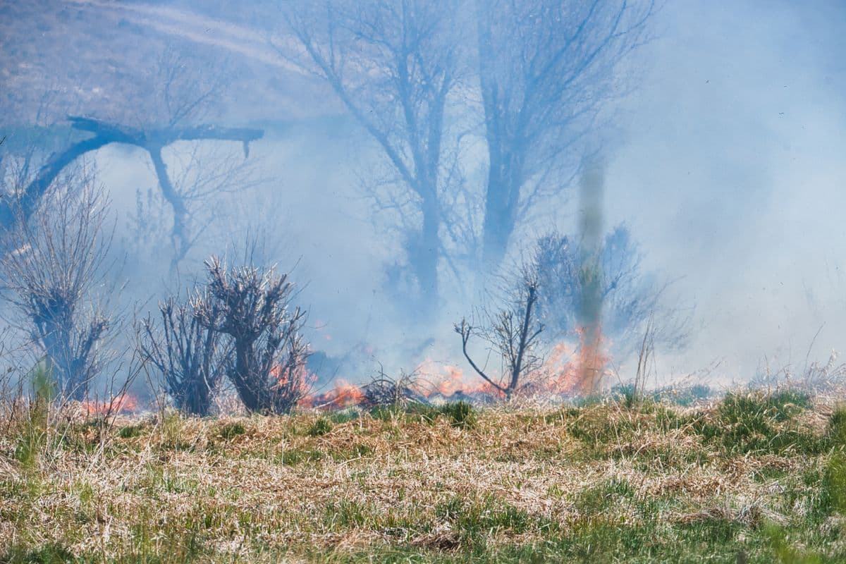 Wildfire smoke over dry brush
